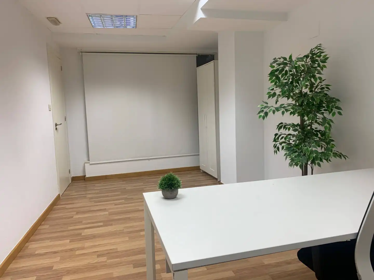Büro zur Miete in Elche / Elx mit Möbliert