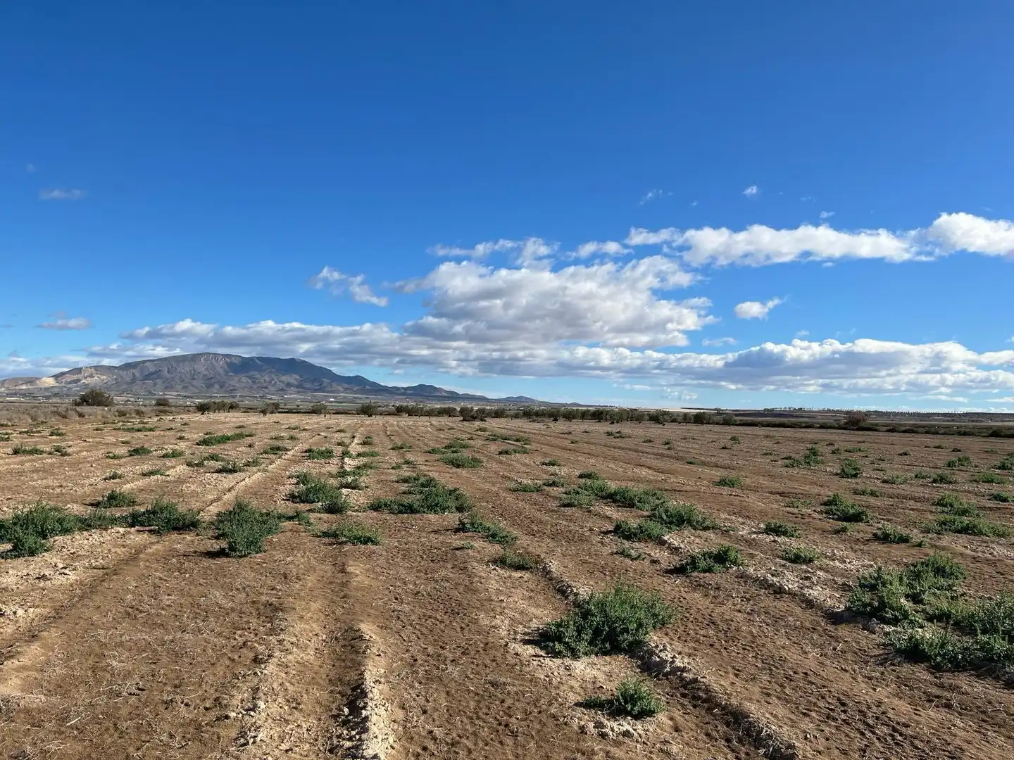 Terreni e lotti in vendita a Condado de Alhama