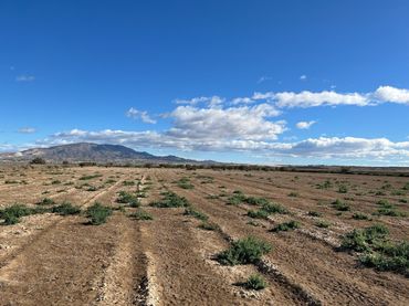 Rural land for sale in Condado de Alhama