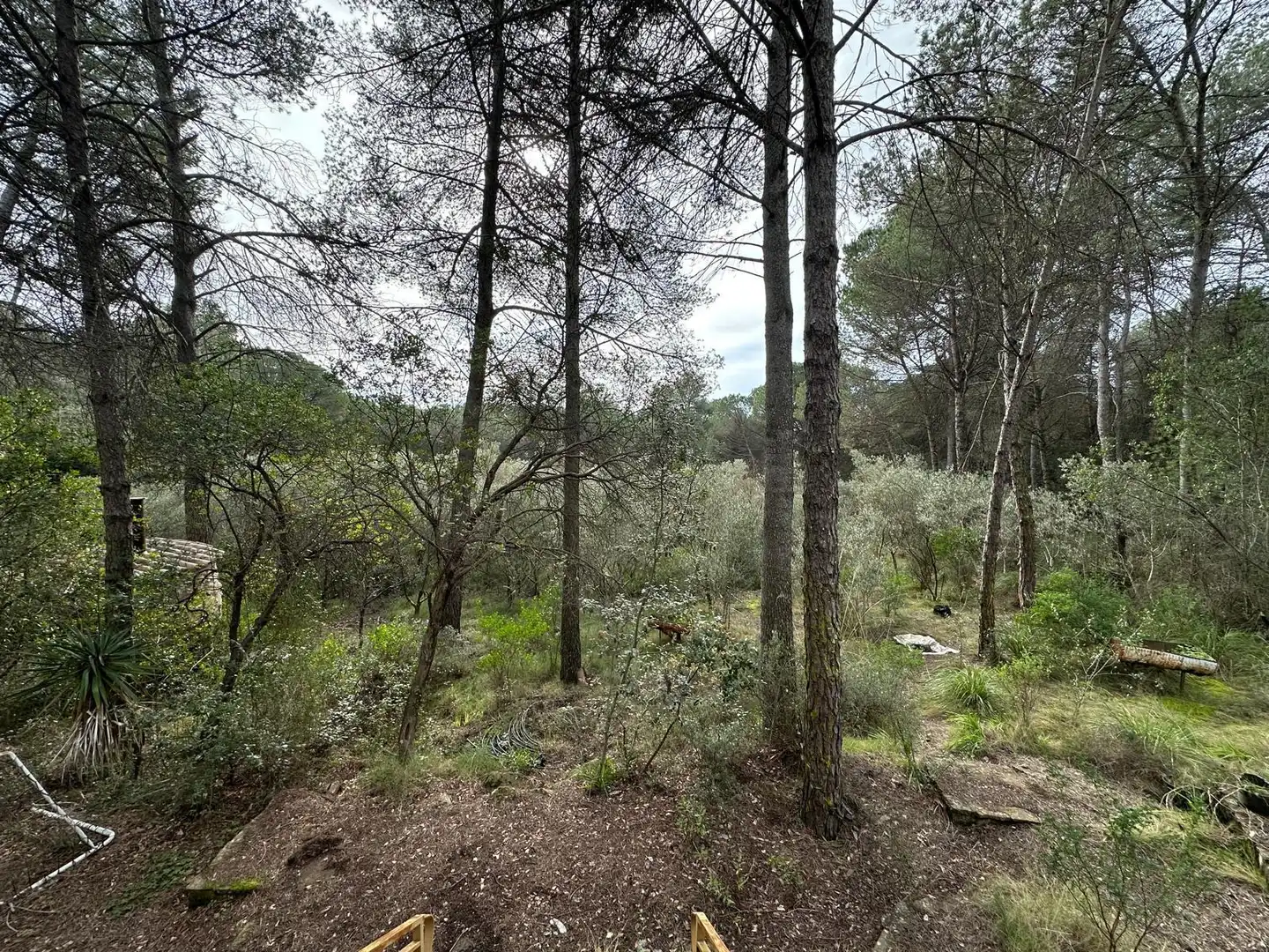 Casa o xalet en venda en Corçà amb Jardí privat, Terrassa i Traster