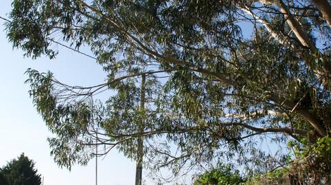 Photo 2 of Land for sale in Camino Laredo, 2, El Callejo - La Pesquera - La Arenosa, Laredo