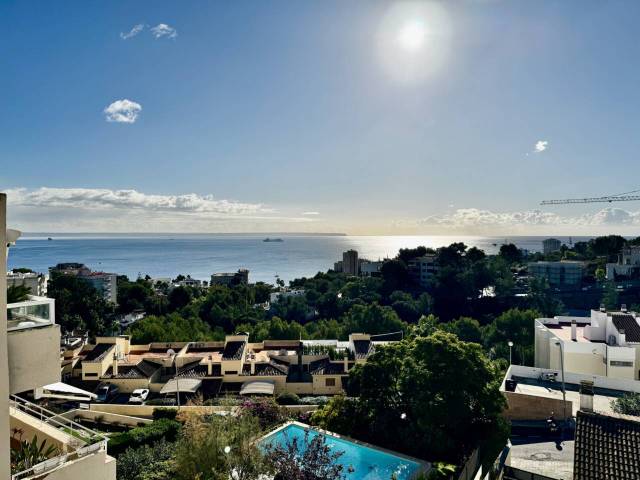 Piso en Alquiler en Barranc en Cas Català - Illetes