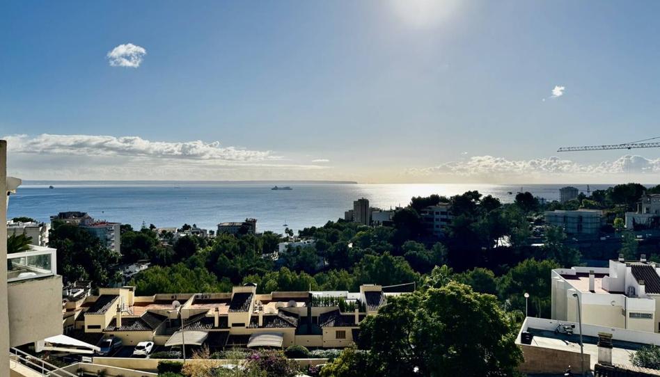 Photo 1 of Flat to rent in Barranc, Cas Català - Illetes, Illes Balears