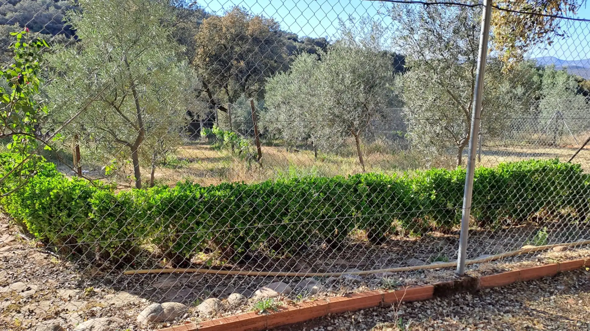 Garden of Country homes for sale in Santa Eufemia  with Furnished