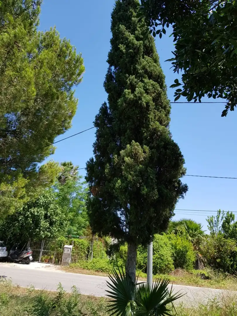 Wohnbaugrundstück zum Verkauf in Pedanías Este, imagen 7