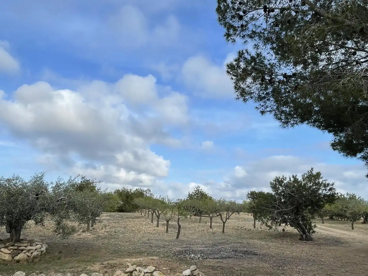 Maison rustique à vendre à recollet, imagen 18
