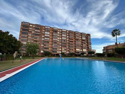 Swimming pool of Planta baja for sale in Alicante / Alacant  with Private garden, Terrace and Balcony