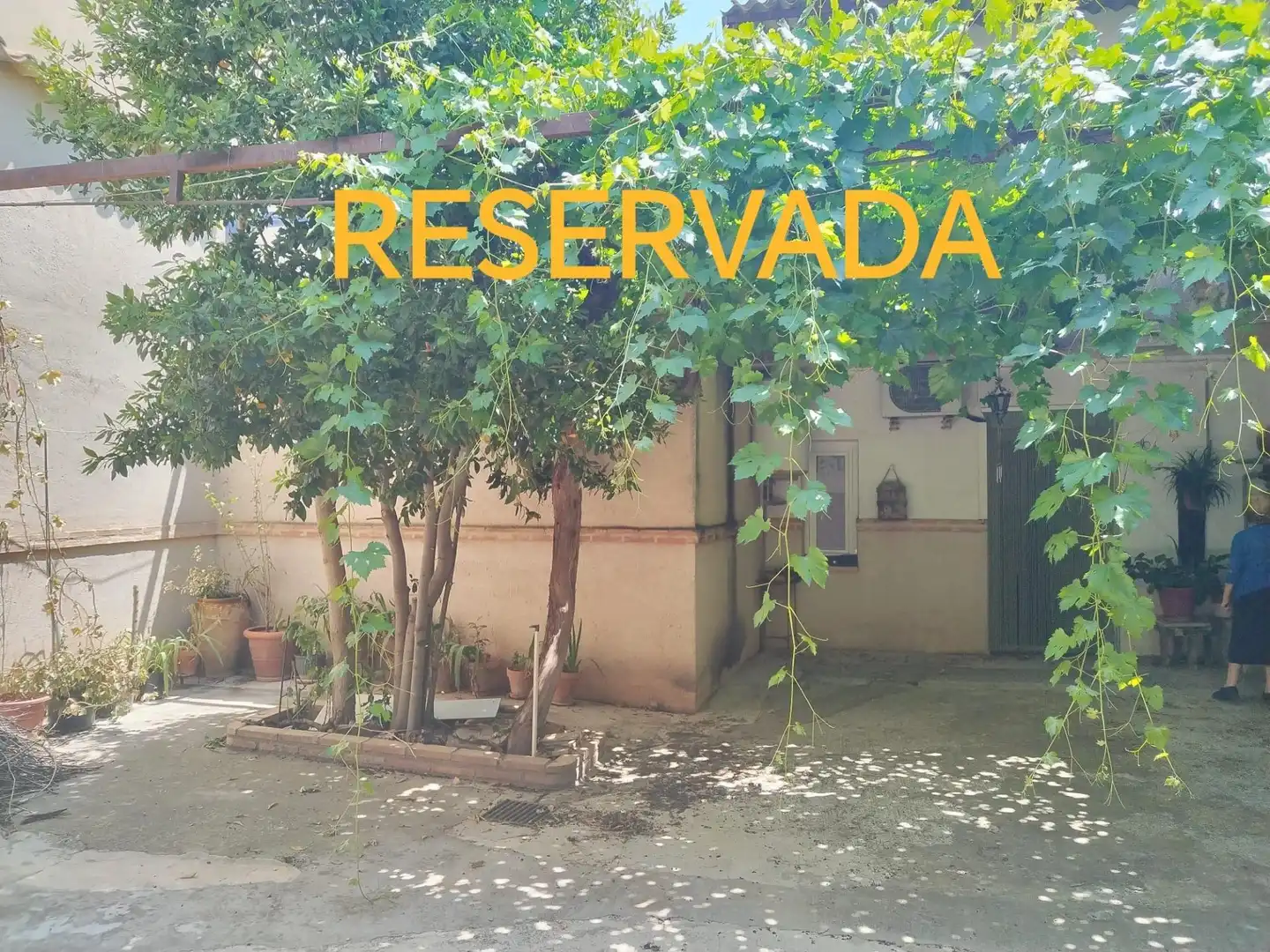 Jardí de Pis en venda en Campo de Criptana amb Aire condicionat i Calefacció