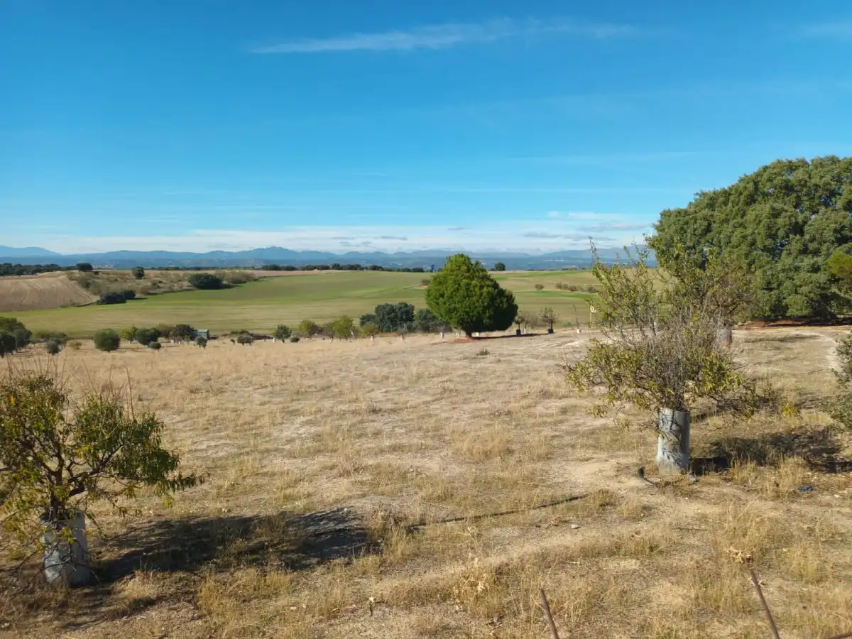 Finca rústica en venta en Brunete