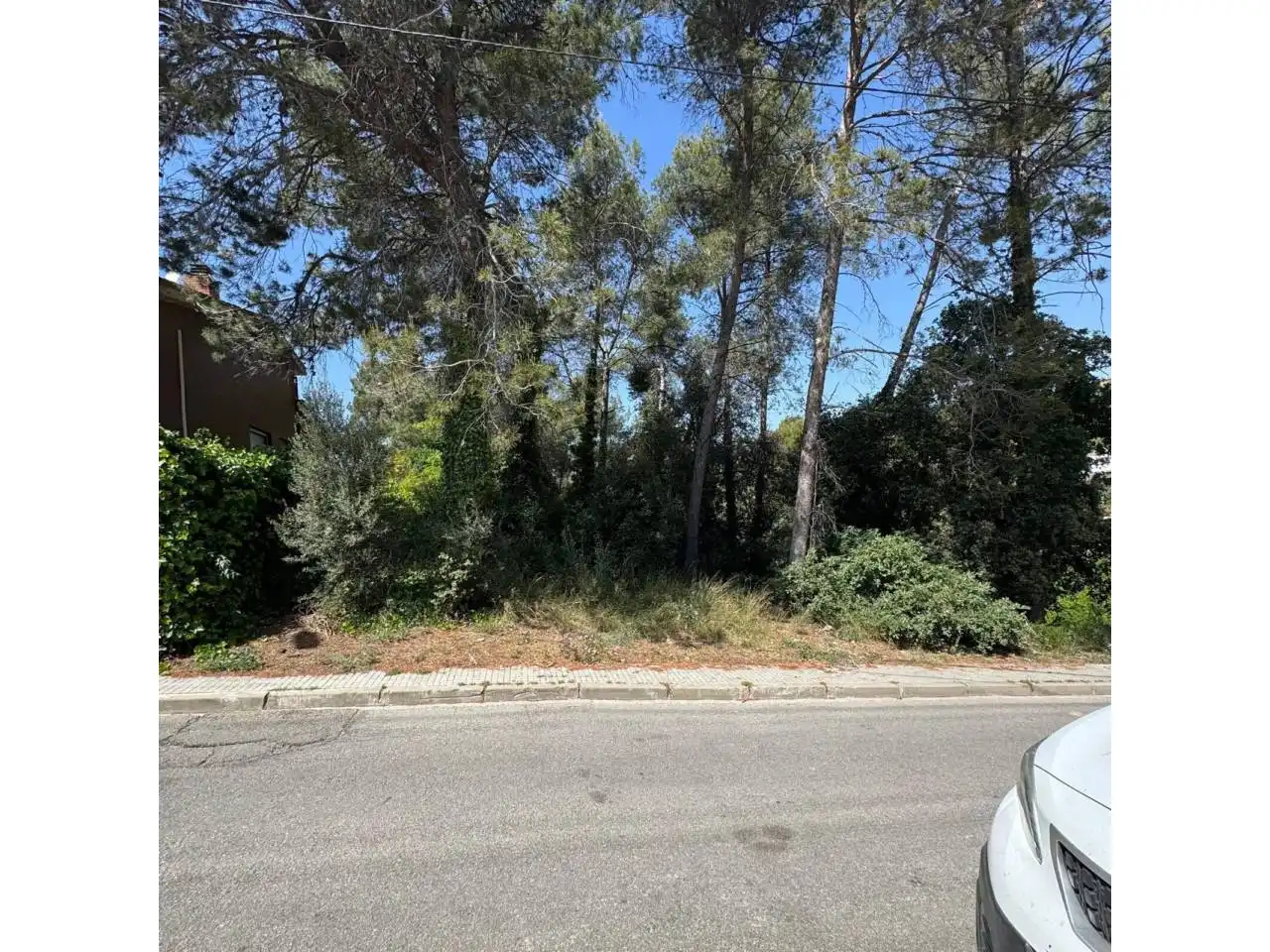 Terreno rustico in vendita a Ponent, imagen 5