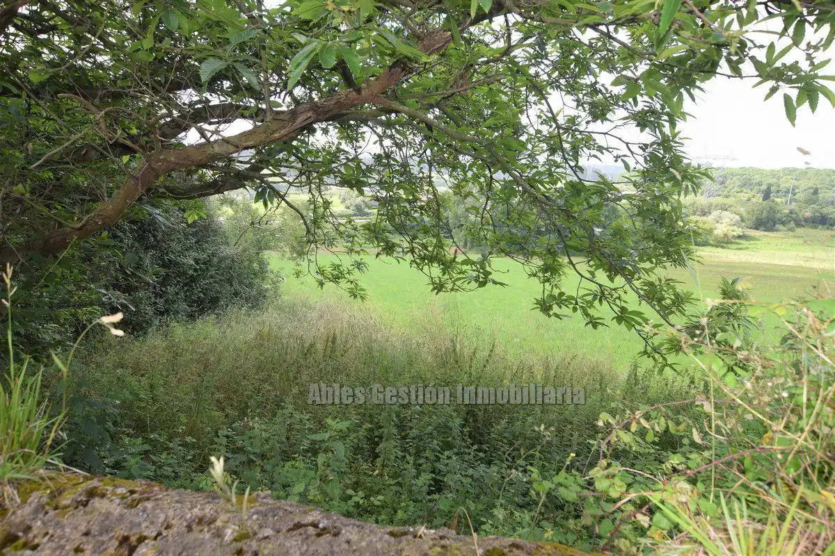 Finca rústica en venta en Carreño
