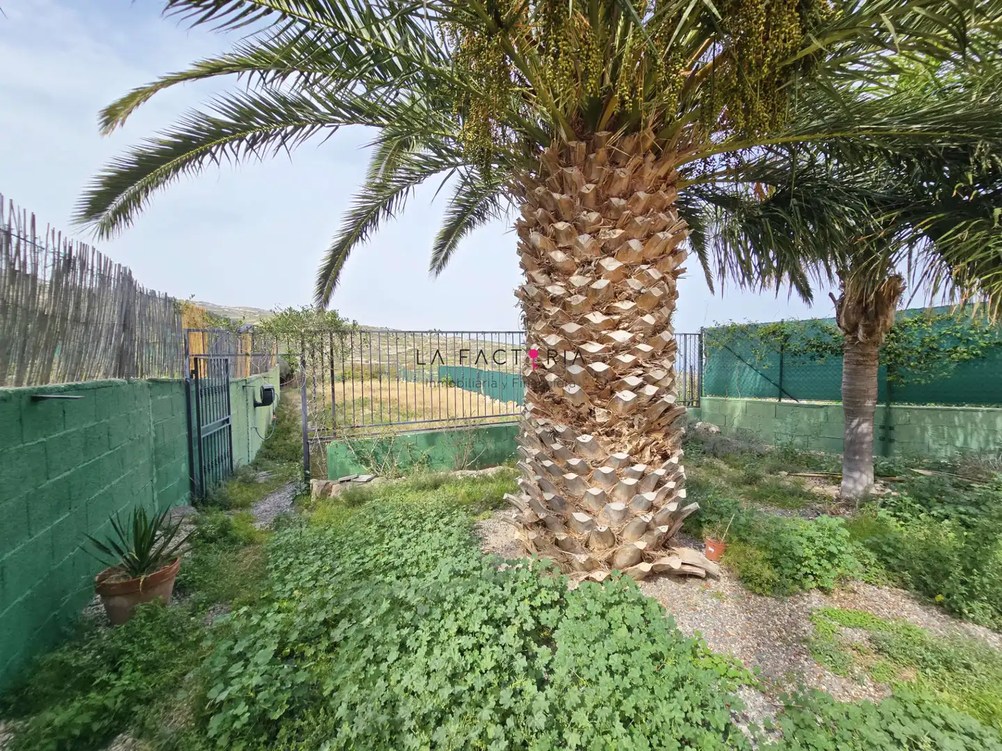 Houses for sale in Güímar  with Private garden, Terrace and Swimming Pool