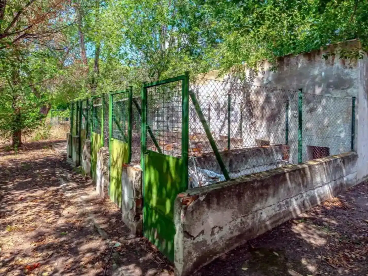 Vista exterior de Finca rústica en venta en Valdeolmos-Alalpardo, Madrid