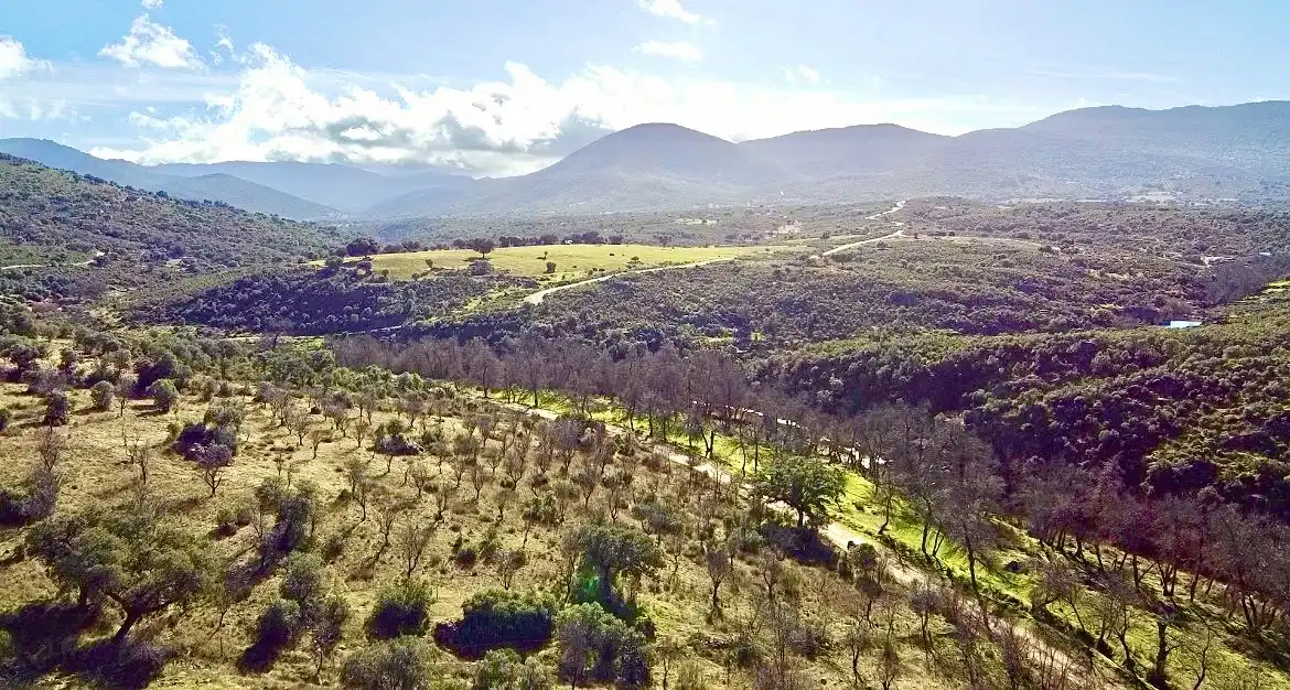 Terreno en venta en Los Navalucillos