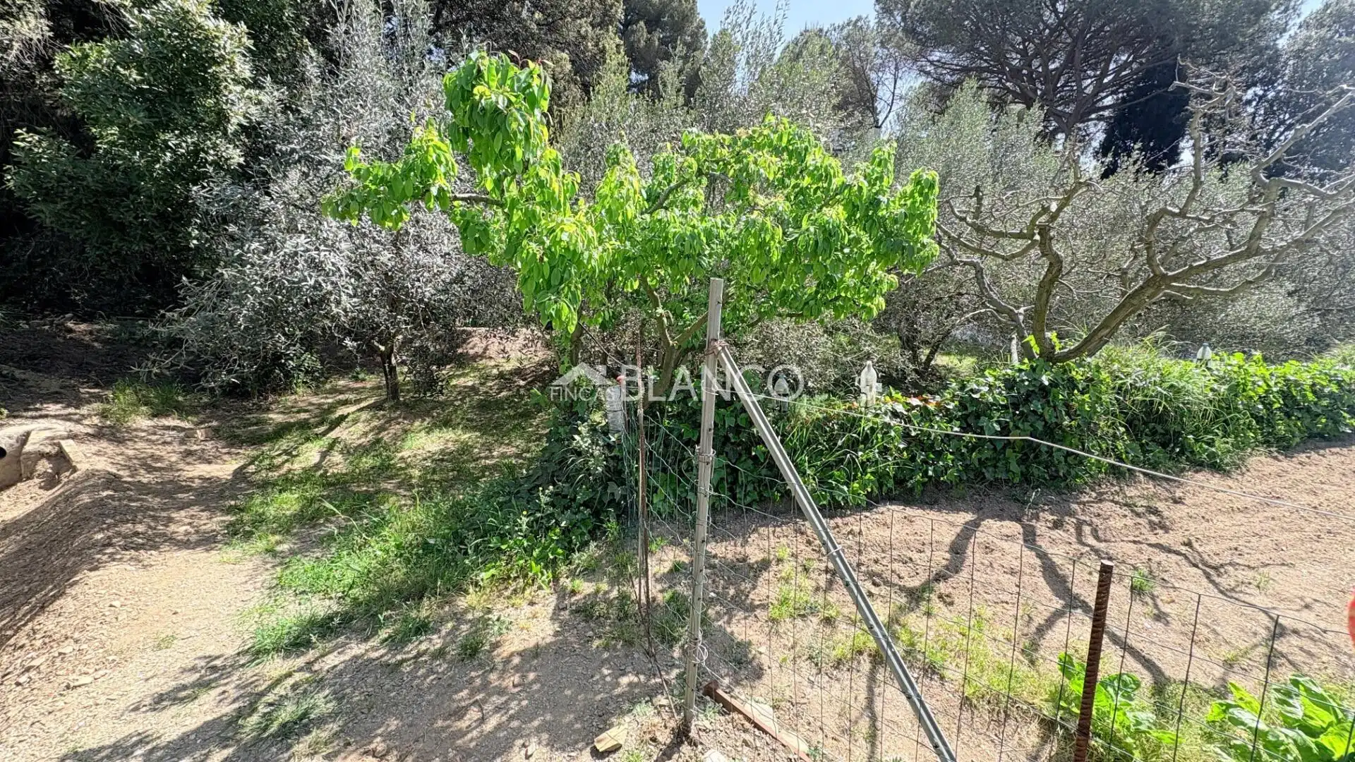 Casa o xalet en venda en Piera amb Jardí privat