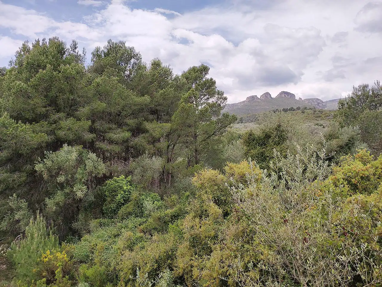 Finca rústica en venta en La Sénia con Terraza