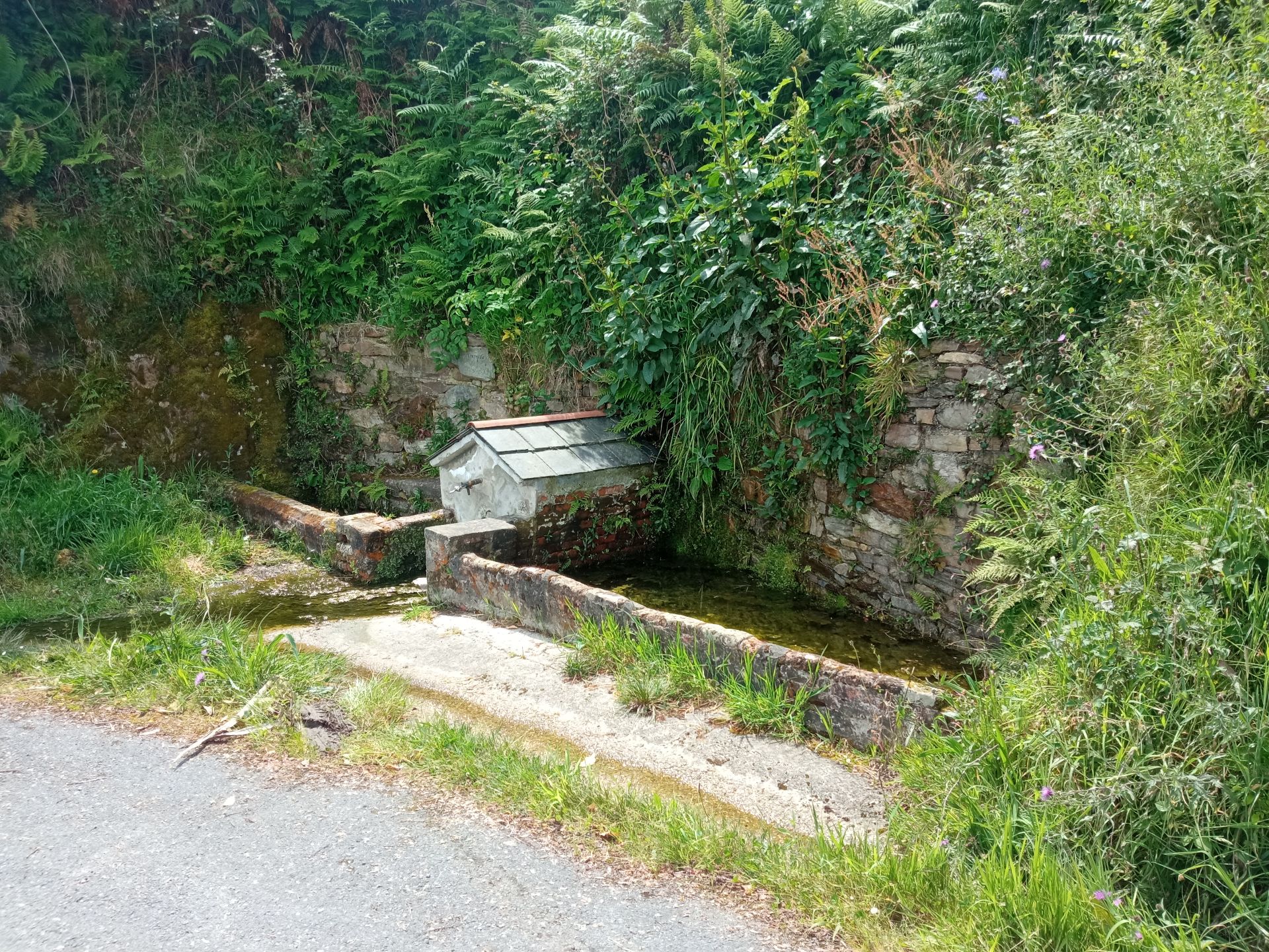 Vista exterior de Finca rústica en venda en Cudillero amb Jardí privat