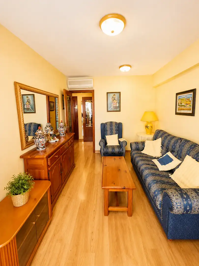 Sala d'estar de Apartament en venda en Benidorm amb Terrassa i Moblat
