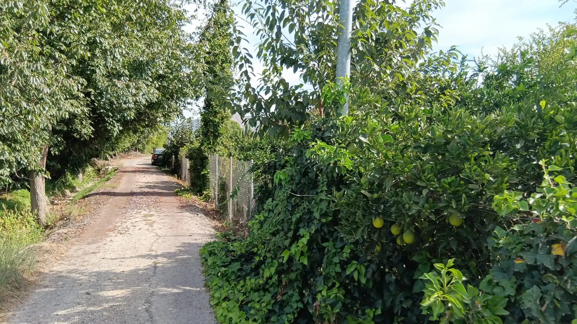 Terrenys i solars en venda a Pedanías Este, imagen 4