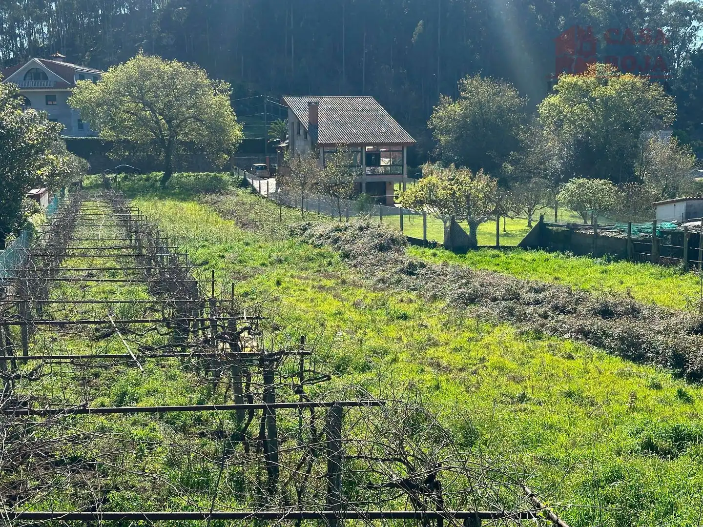 Rustikales Grundstück zum Verkauf in Darbo, imagen 5