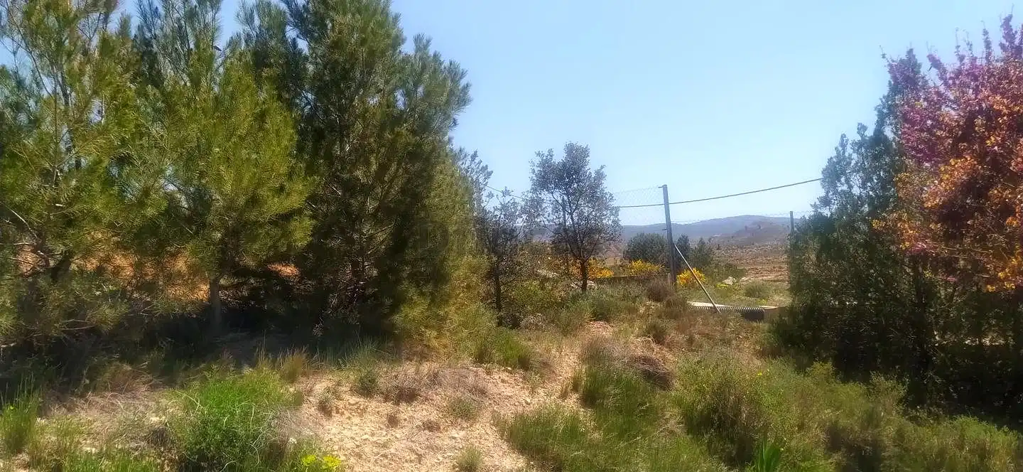 Terreny rústic en venda a DISEMINADOS DEBAJO SANTA ANA, imagen 6