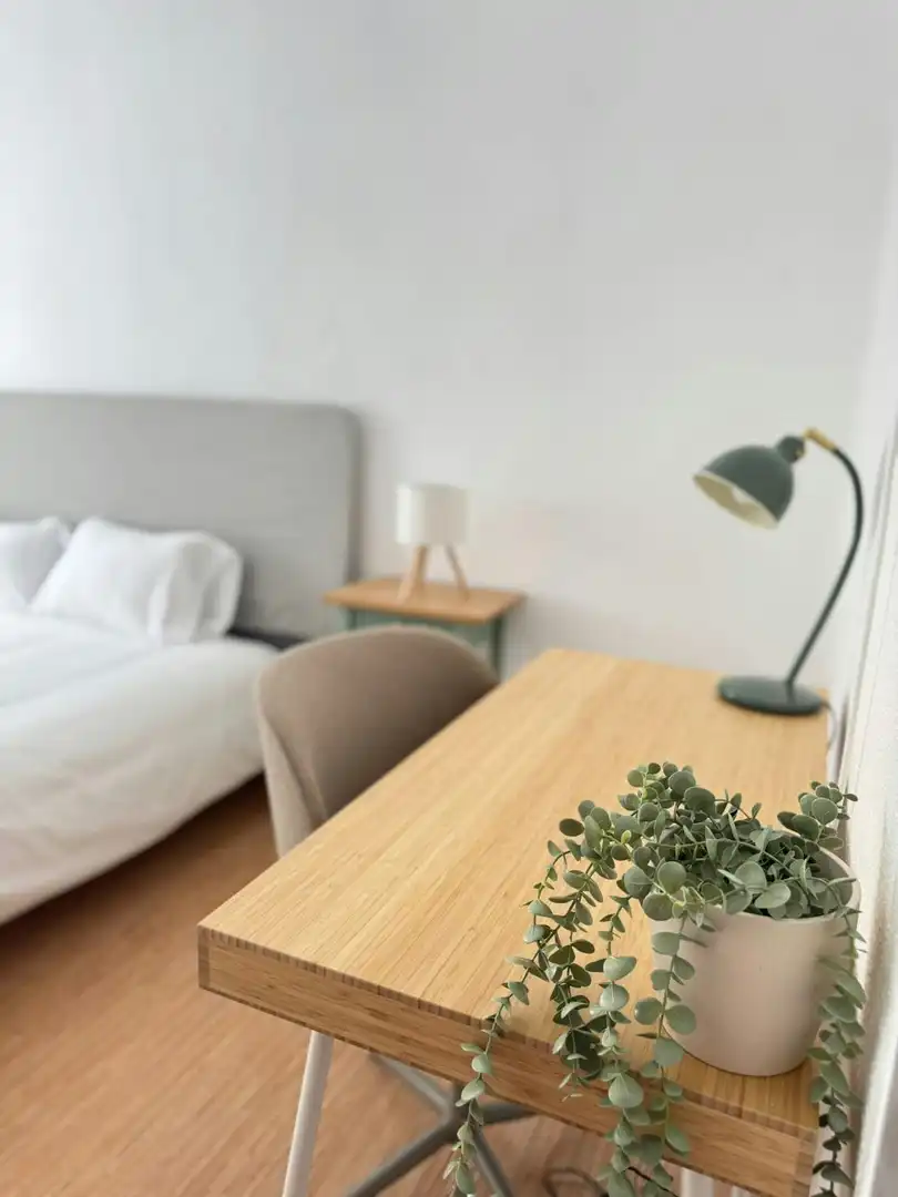 Bedroom of Flat for rent in Madrid  with Air Conditioner, Heating and Furnished