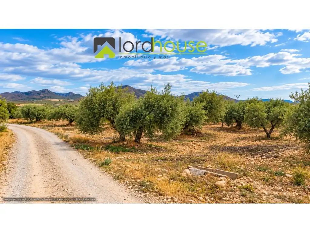 Casa o xalet en venda en Lorca
