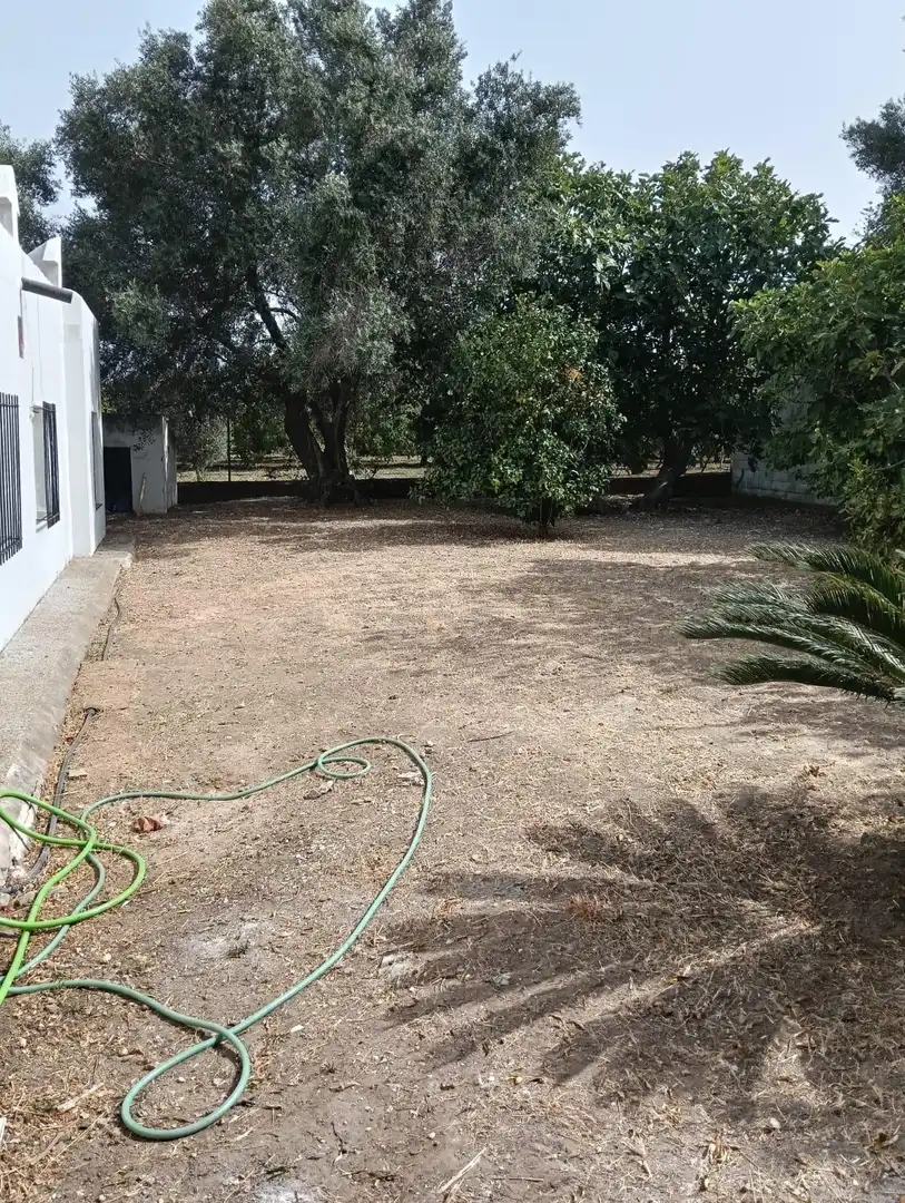 Detached house with garden for sale in Barrio Nuevo, imagen 19