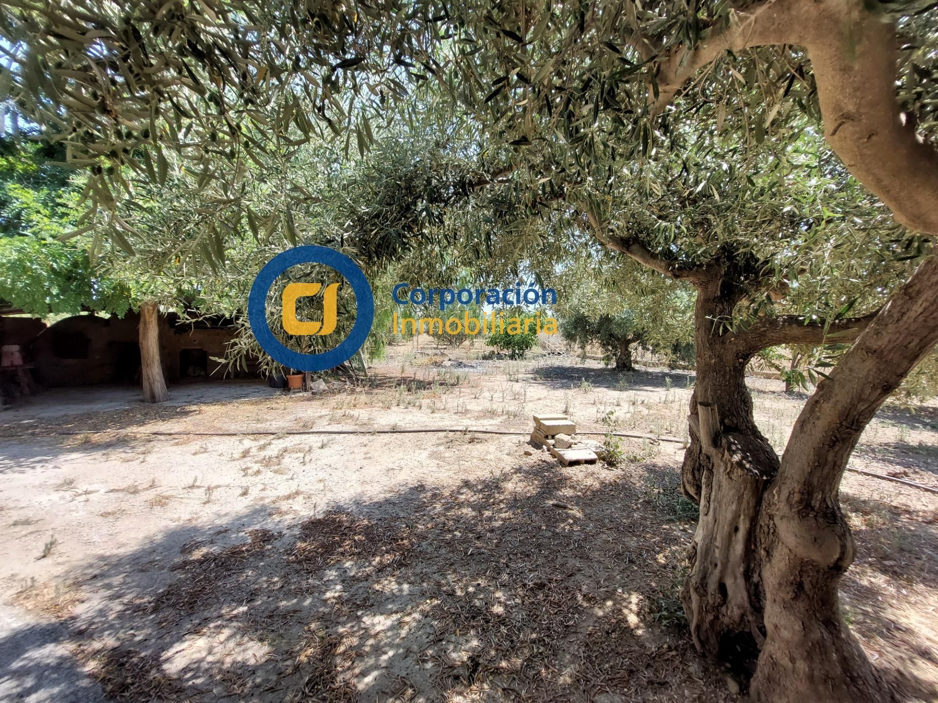 Casa o xalet en venda en Lorca amb Jardí privat i Traster