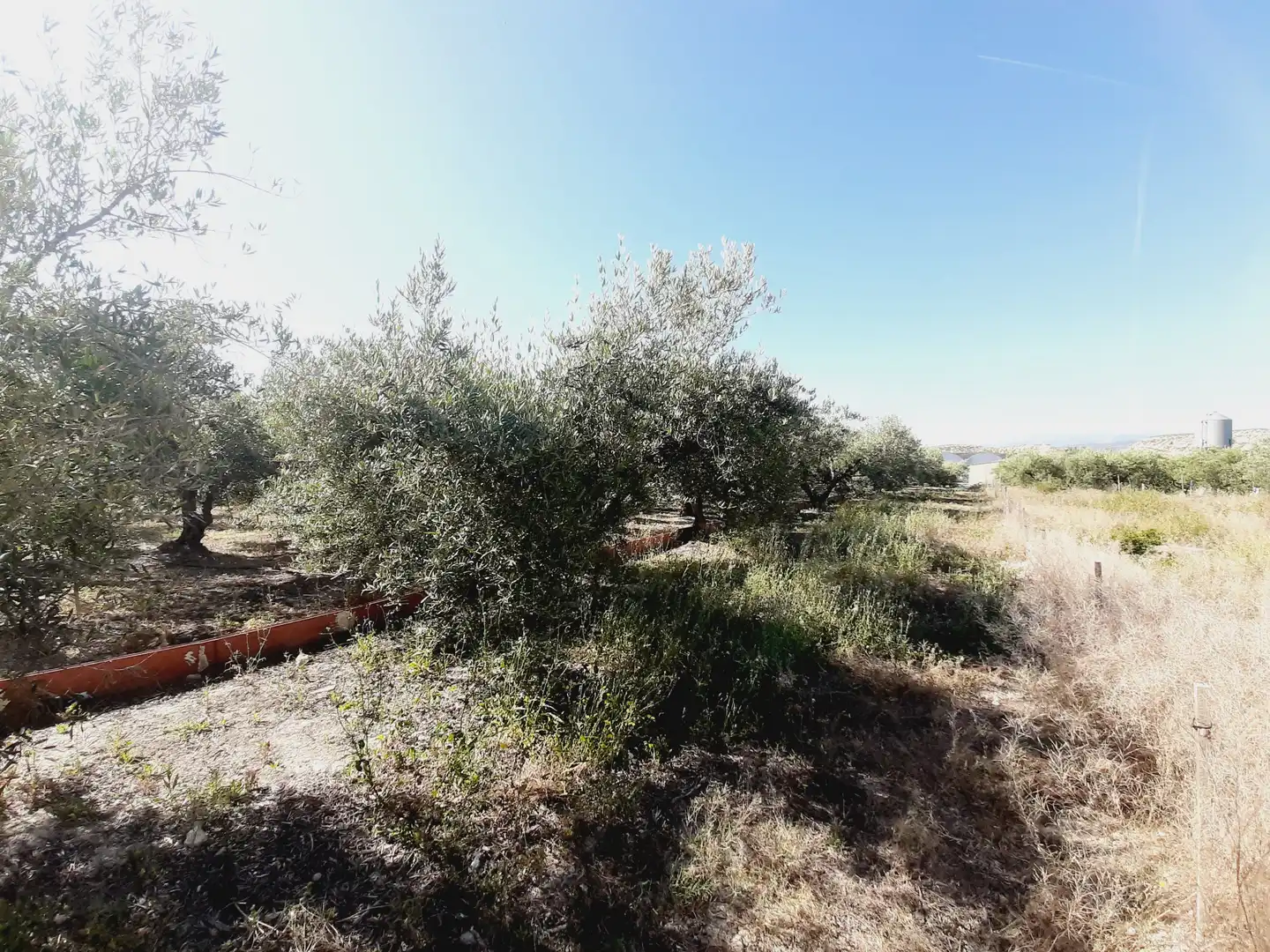 Lands and plots for sale in Mula, imagen 11