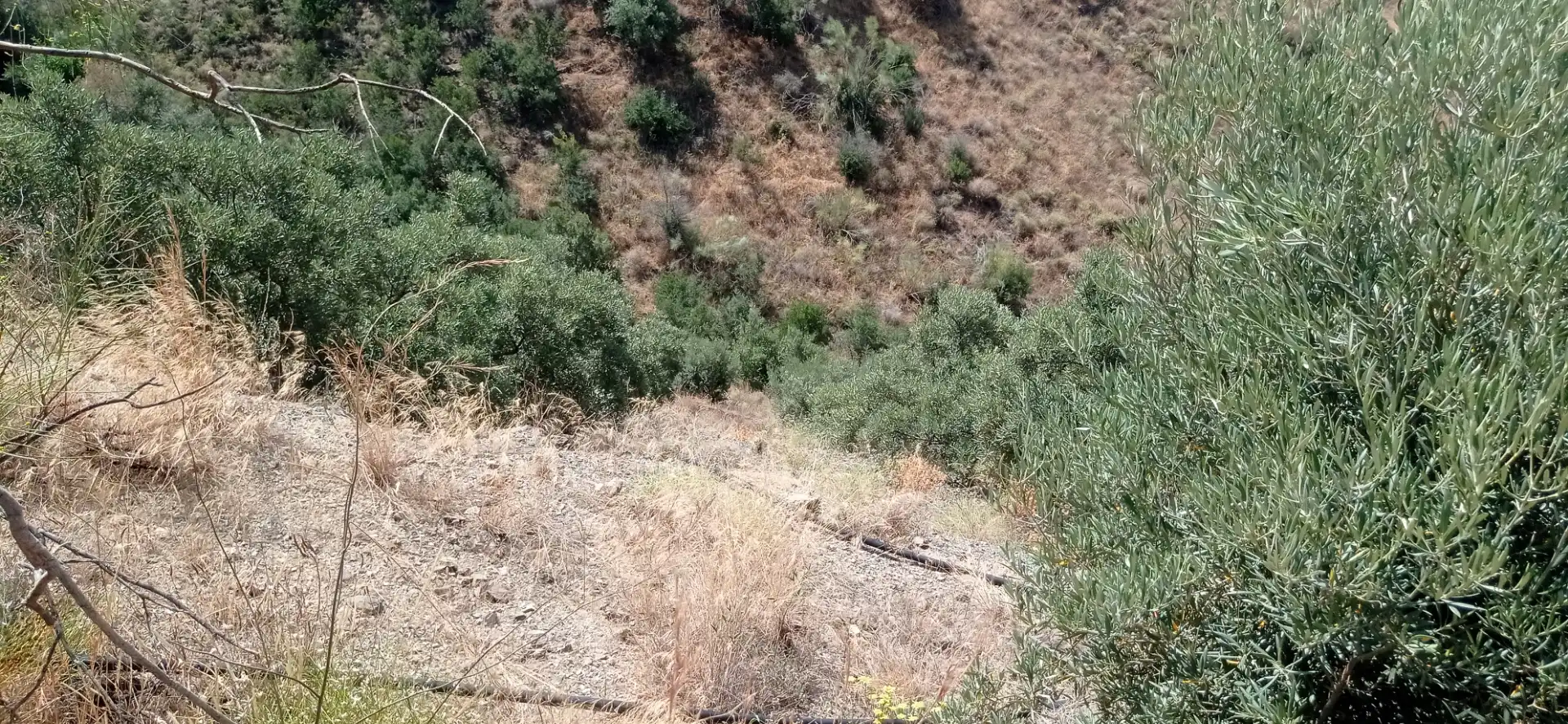 Terreny en venda en Vélez-Málaga