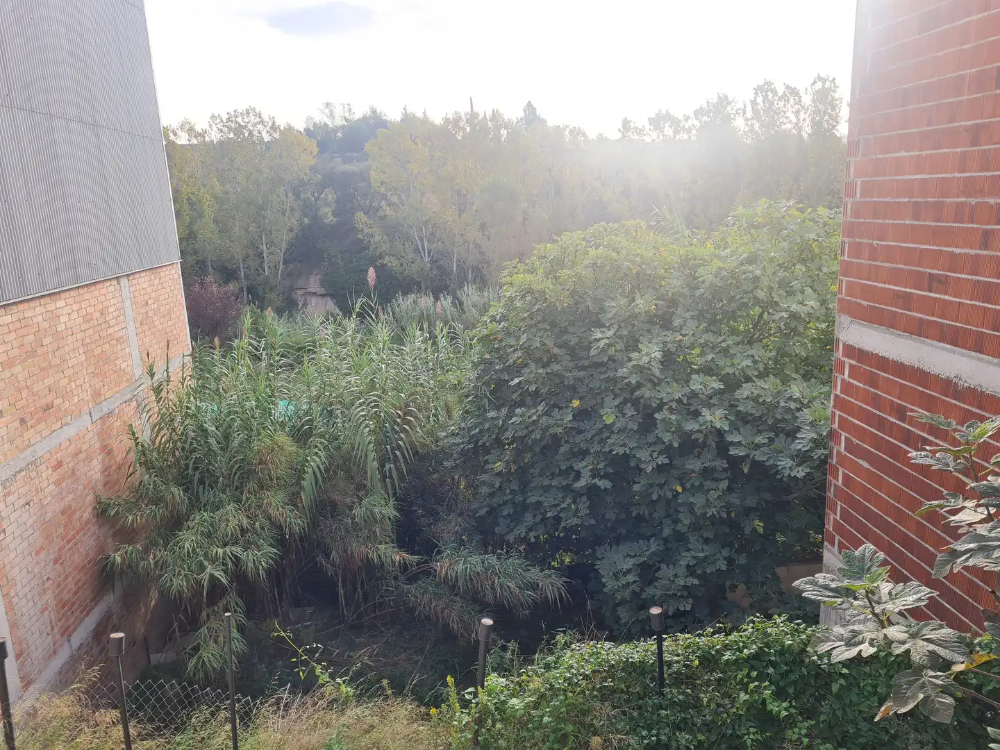 Terreny residencial en venda a Gironella, imagen 2