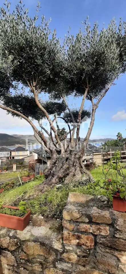 Exterior view of Houses for sale in O Vicedo   with Heating, Private garden and Storage room