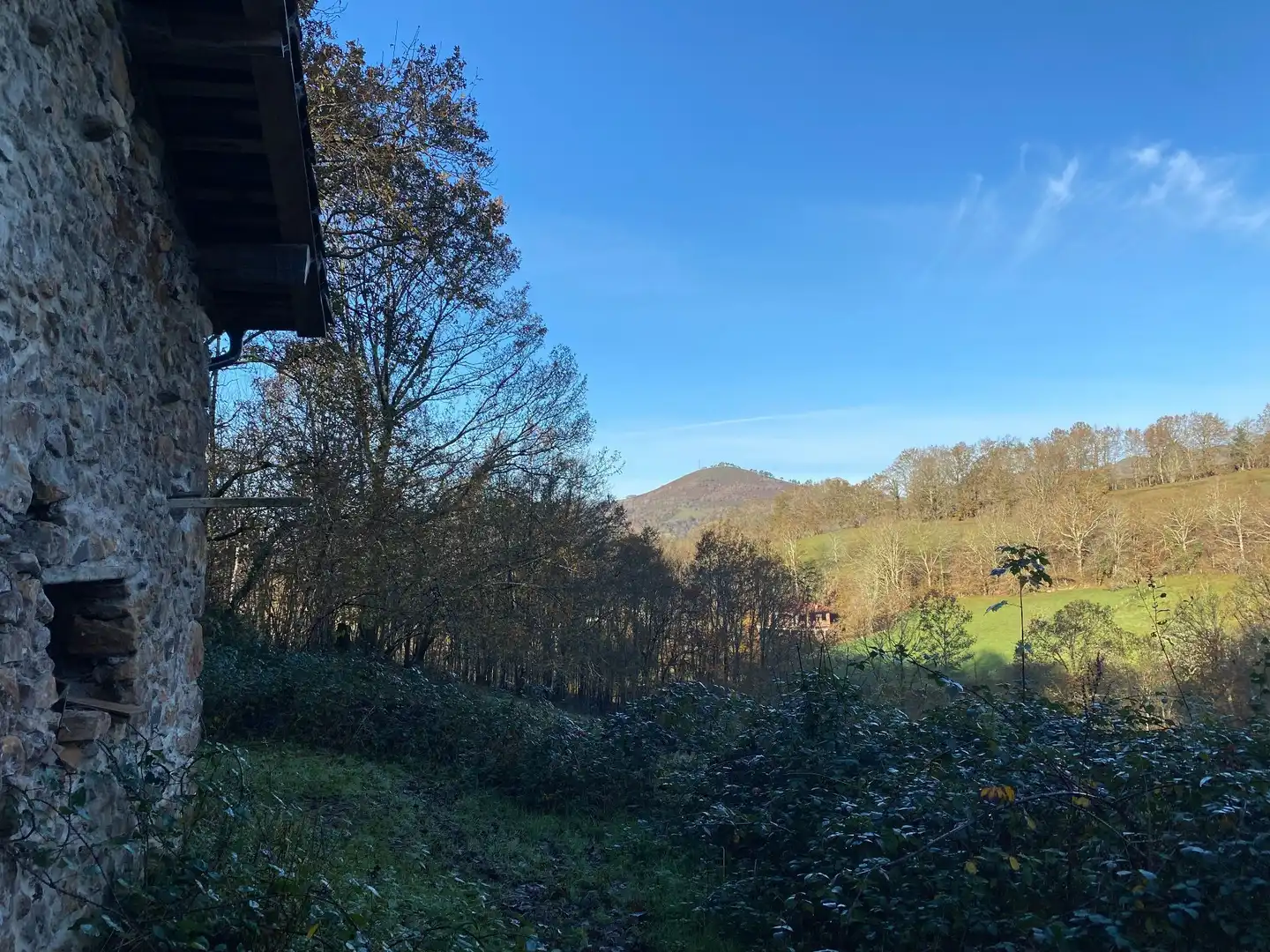 Terreno rustico in vendita a Cangas de Onís, imagen 9