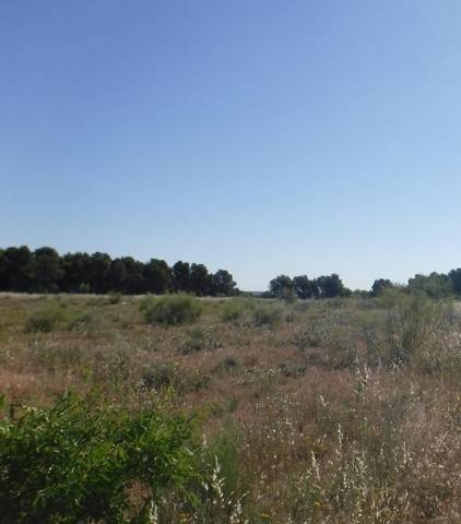 Terreno en Venta en PLUTO en La Cerdera