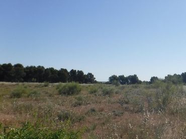 Terreno rustico in vendita a PLUTO