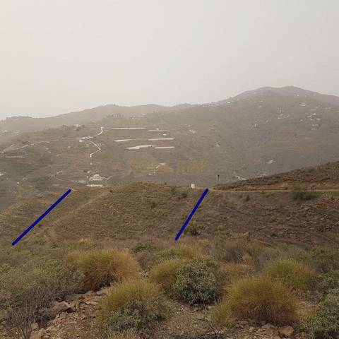 Finca rústica en Venta en Algarrobo pueblo