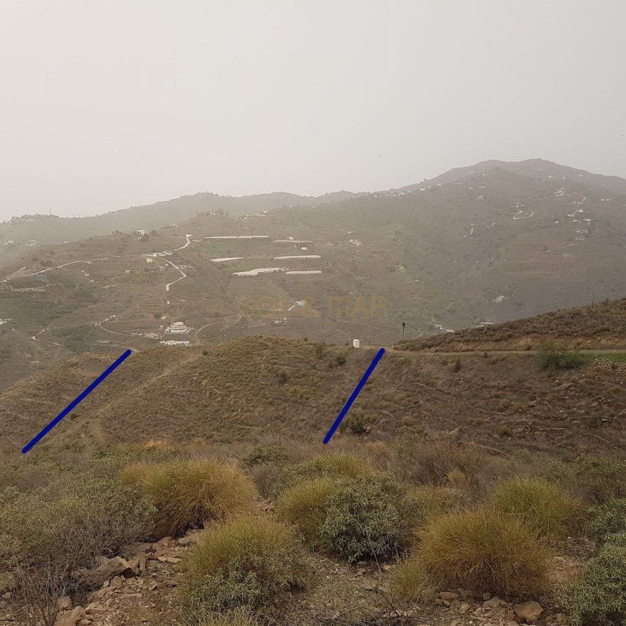 Country house for sale in Algarrobo