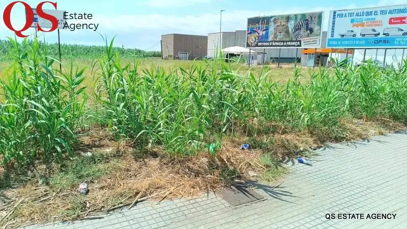 Terreno residencial en venta en Palafolls, imagen 5