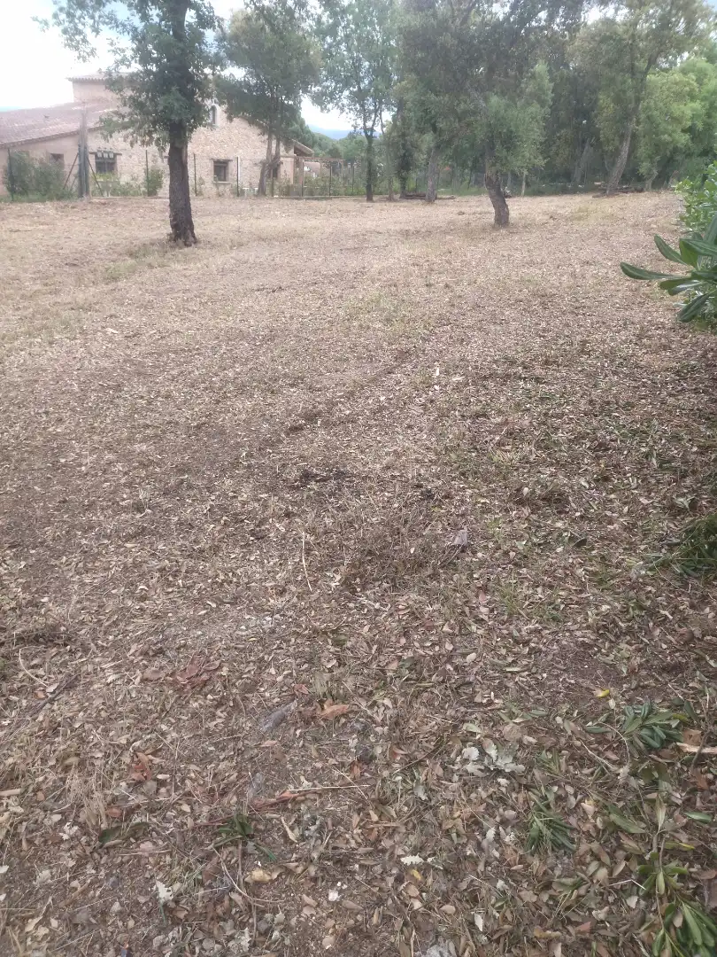 Residential land for sale in Avinguda d'Espanya 39, imagen 4