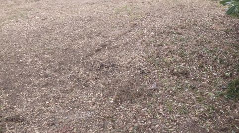TE004. Llagostera, parcel.la per edificar la casa dels teus somnis, immagine 4