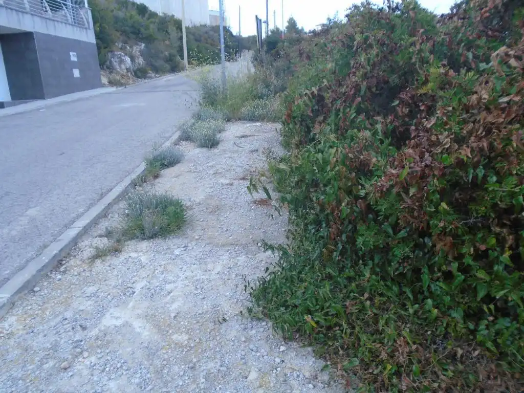 Rural land for sale in C/ Tulipa, imagen 7