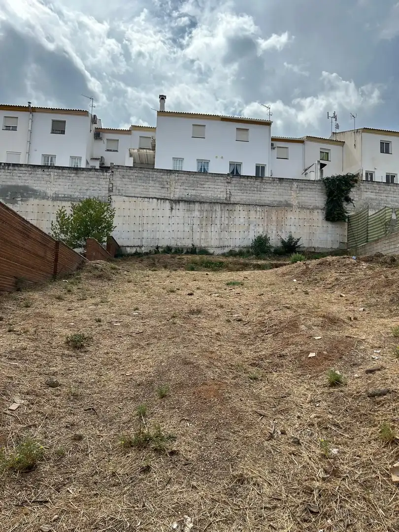Lands and plots for sale in Fuentemora, imagen 6