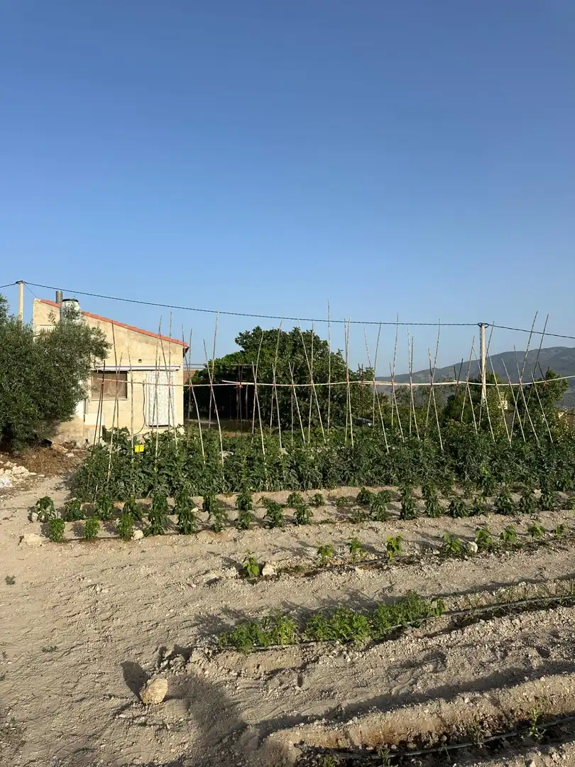 Finca rústica en venta en Somontín