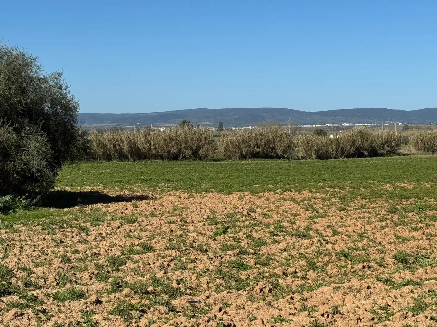 Terrenys i solars en venda a Cantillana, imagen 7