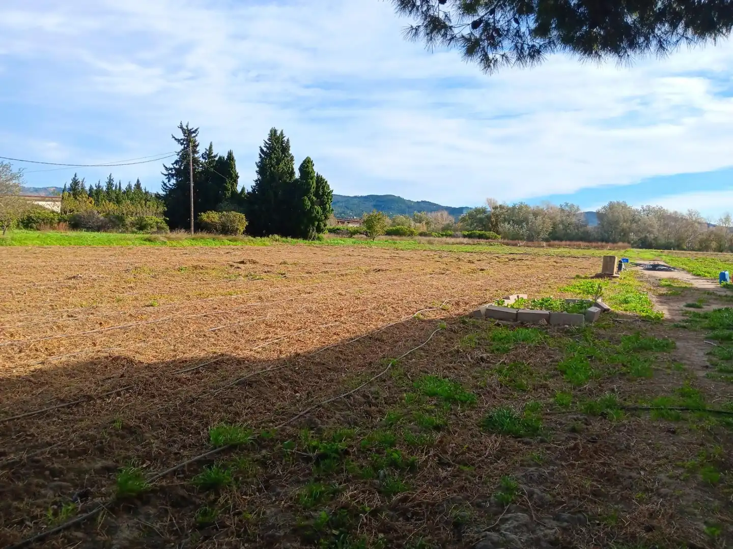 Maison à vendre à Roquetes, imagen 8