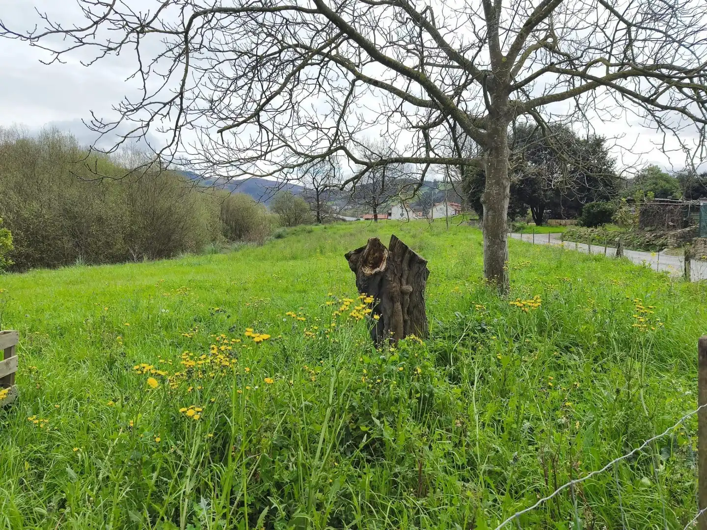 Grundstücke und Bauplätze zum Verkauf in Castañeda, imagen 5