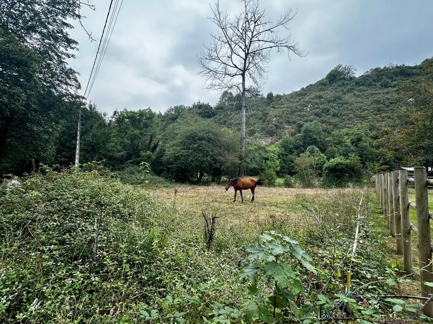 Residential for sale in Cangas de Onís