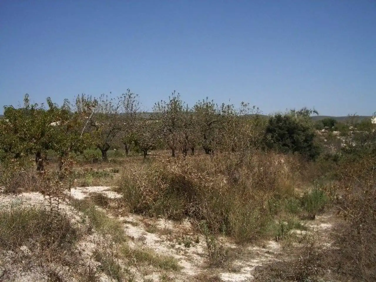 Terreno residencial en venta en Casa Marau, imagen 10