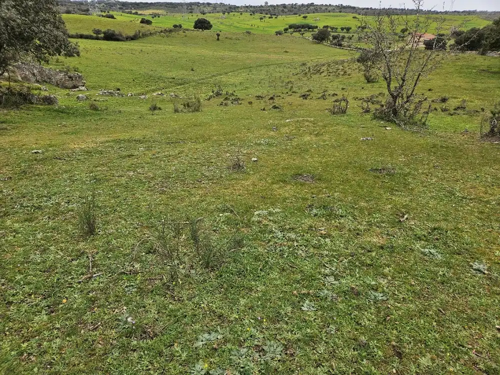 Terreni e lotti in vendita a Navas del Madroño, imagen 8